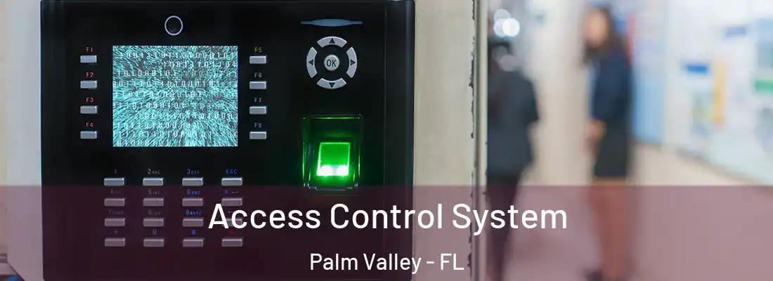 Access Control System Palm Valley - FL
