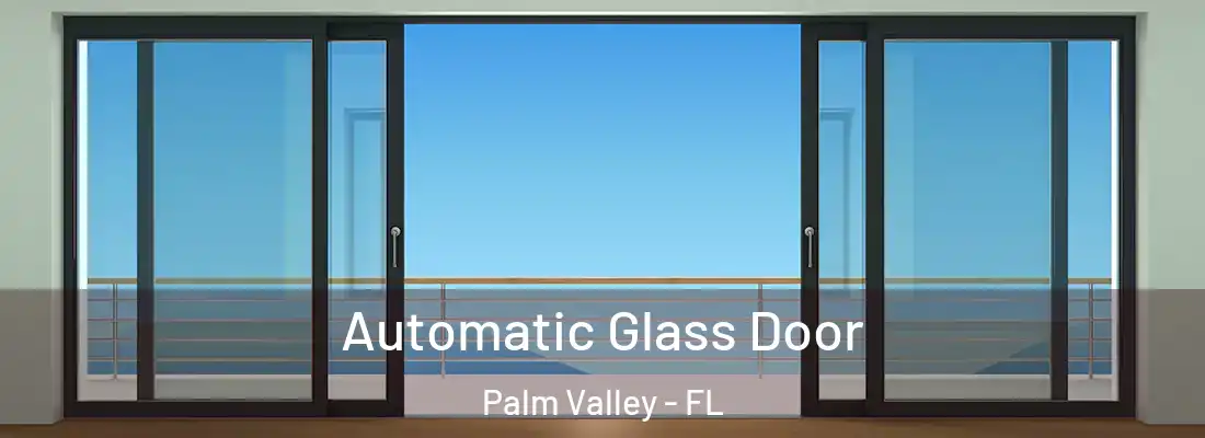 Automatic Glass Door Palm Valley - FL