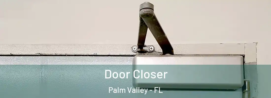Door Closer Palm Valley - FL