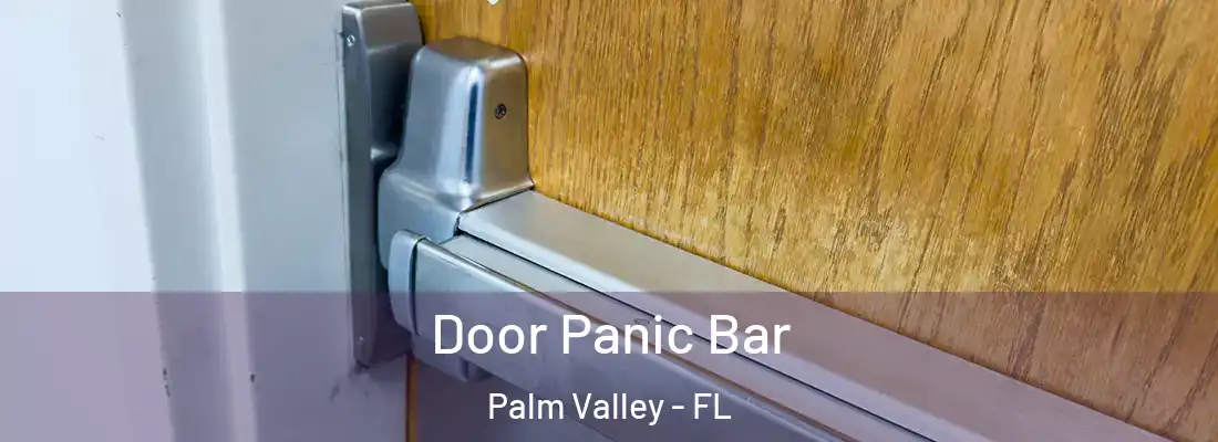  Door Panic Bar Palm Valley - FL