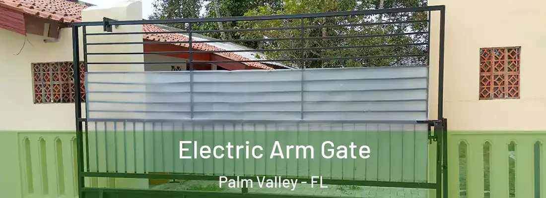Electric Arm Gate Palm Valley - FL