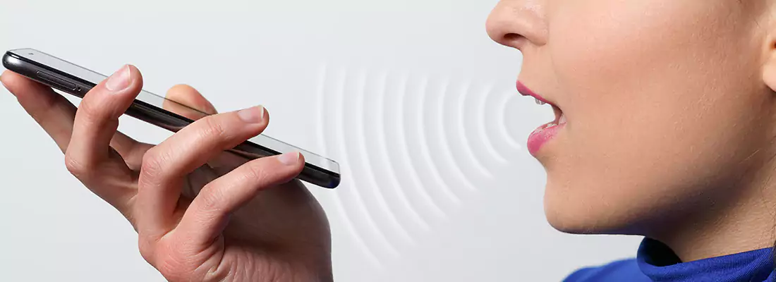 Residential and Commercial Voice Recognition Access Solutions in Palm Valley, FL