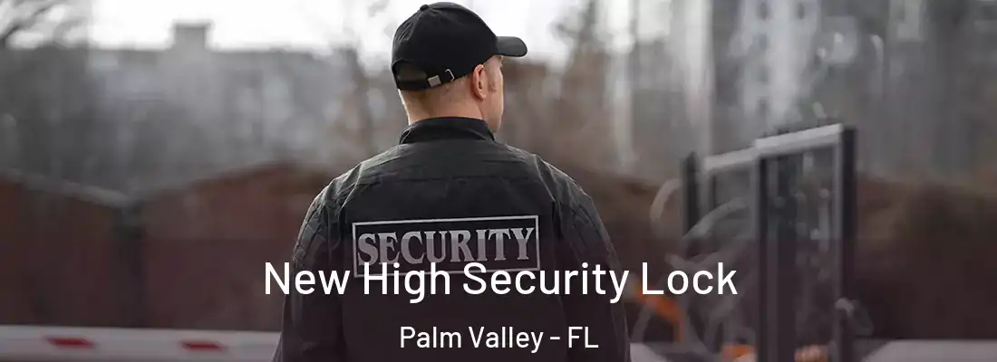  New High Security Lock Palm Valley - FL