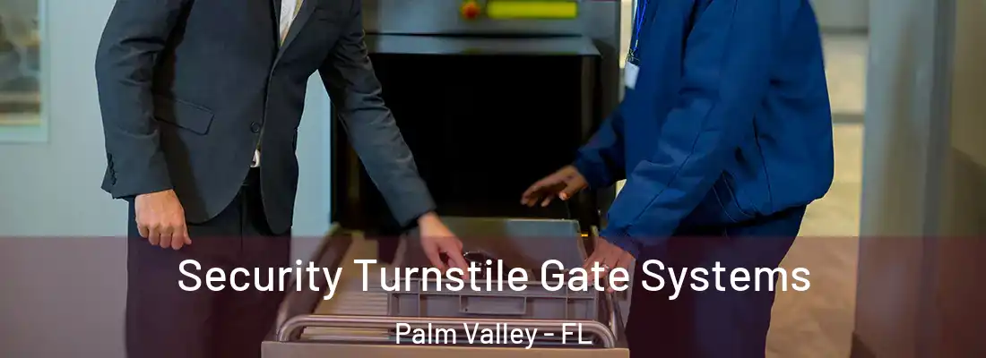 Security Turnstile Gate Systems Palm Valley - FL