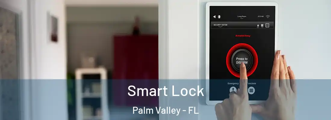 Smart Lock Palm Valley - FL